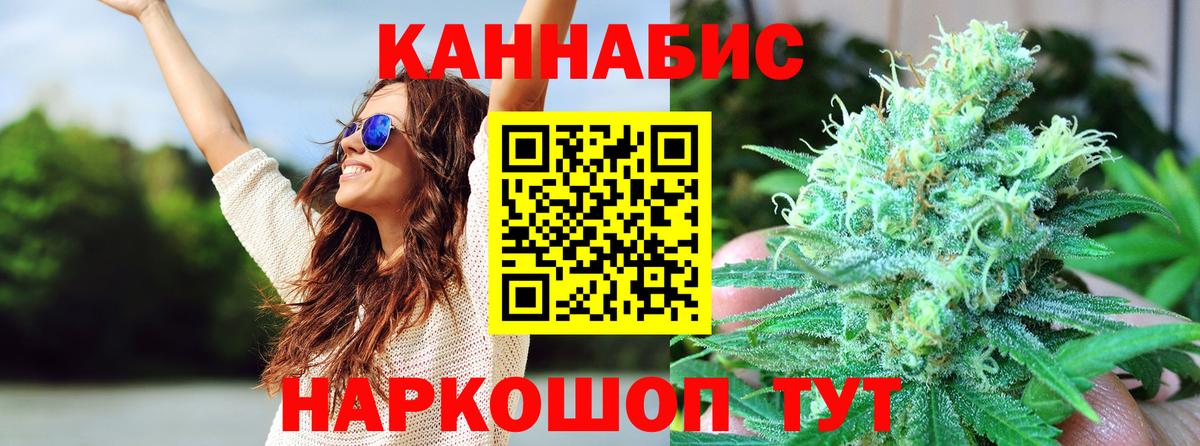 Каннабис OG Kush Кубинка